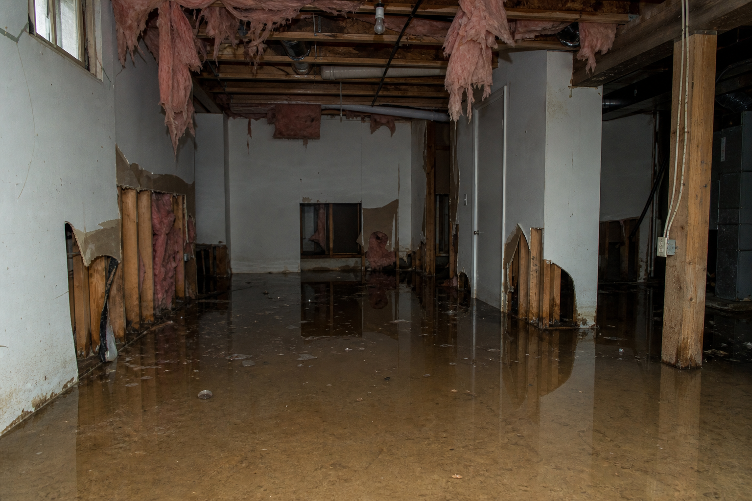 Basement Flood — before